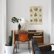"Shell Collection I" by Deborah Devellier, Canvas Print, 40"x26"