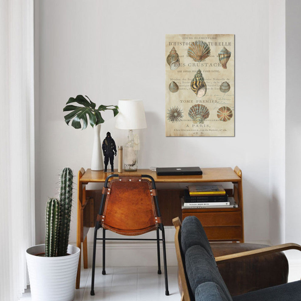 "Shell Collection I" by Deborah Devellier, Canvas Print, 40"x26"