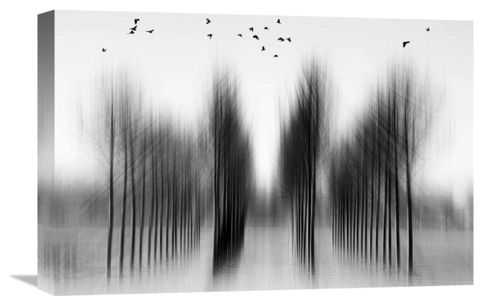 "Tree Architecture" Canvas by Roswitha Schleicher-Schwarz, 22x15"
