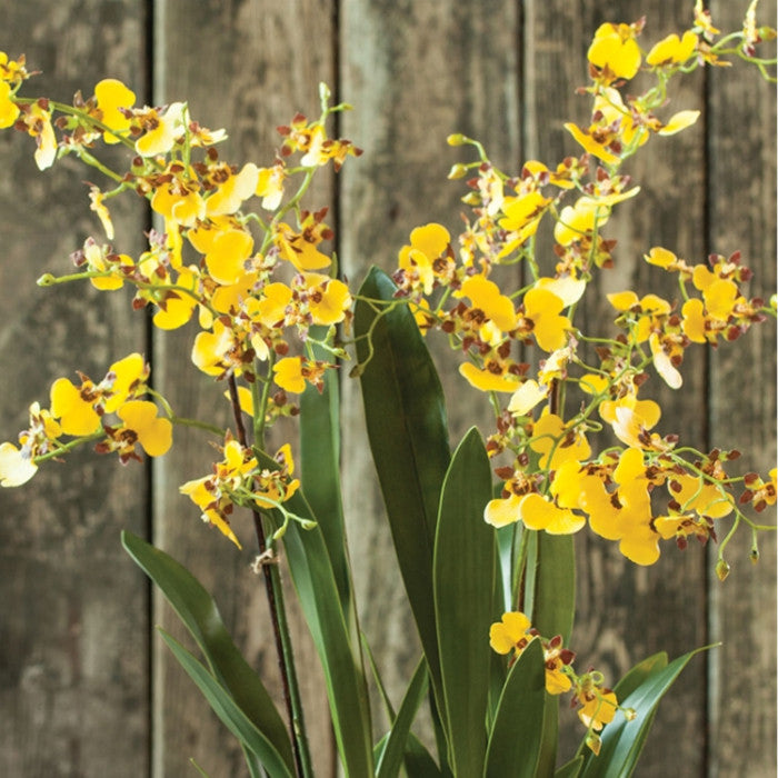Luxe Yellow Dancing Orchid Faux Floral Artificial Plant 44in Drop In Flowers