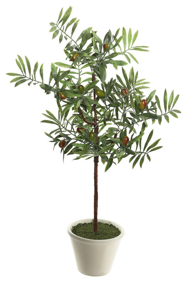 27" Olive Hill Tree W/ Container