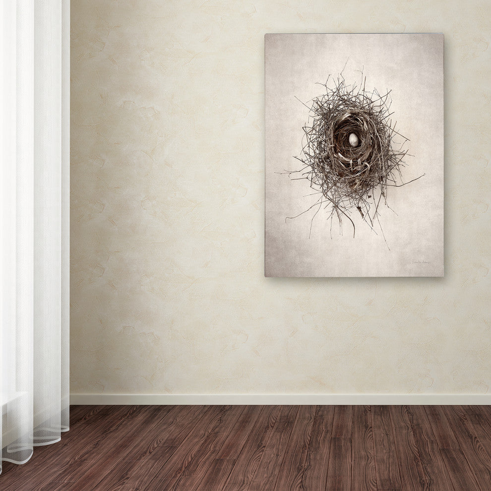 Debra Van Swearingen 'Nest I' Canvas Art, 24" x 32"