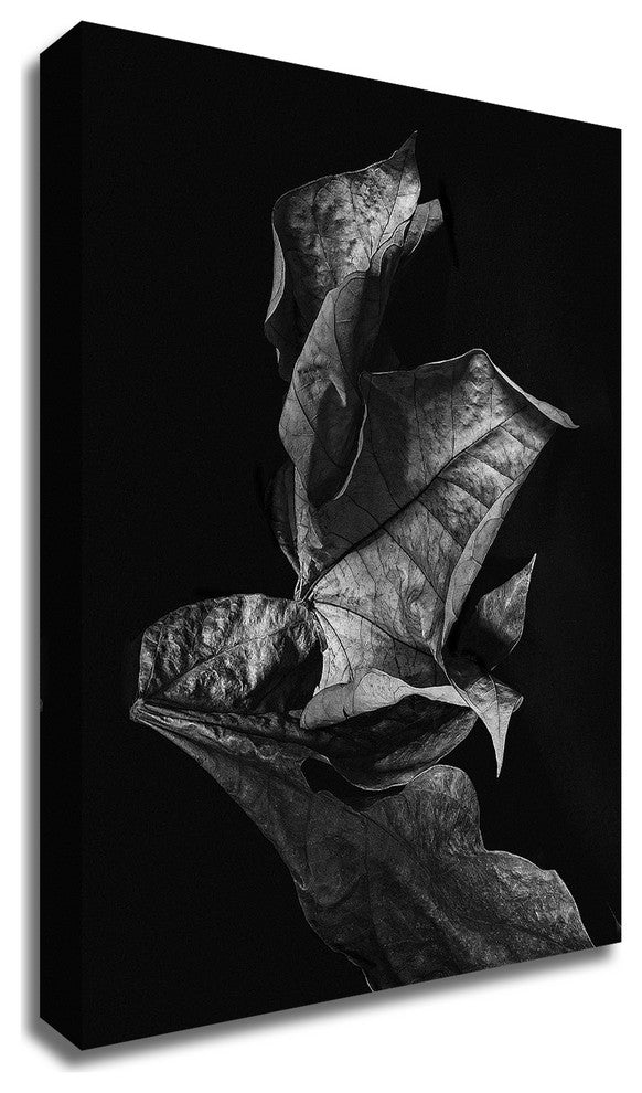 Leaf Composition, Dark by Design Fabrikken, Print on Canvas, 20"x28"