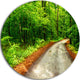 Pathway In Deep Moss Forest, Landscape Round Metal Wall Art, 23"