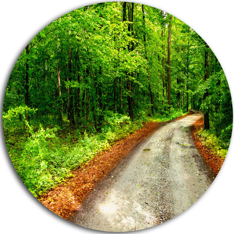 Pathway In Deep Moss Forest, Landscape Round Metal Wall Art, 23"