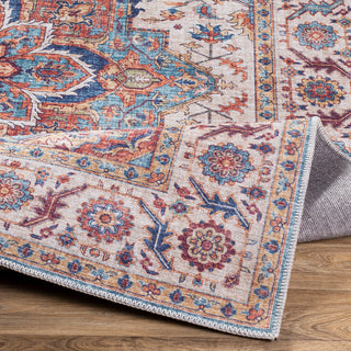 Iris IRS-2301 Traditional Rust/Blue 2'3"x3'9" Area Rug