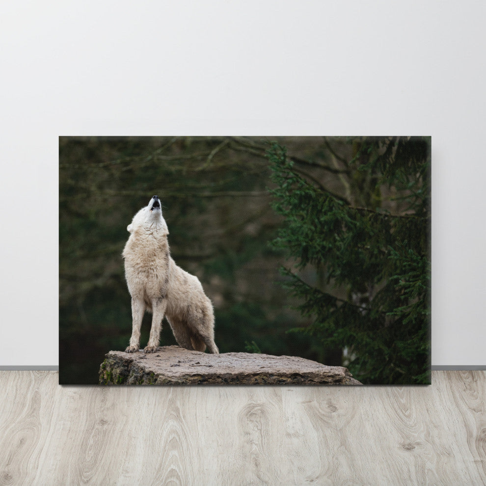 Howling White Wolf In The Forest Wildlife Photograph Canvas Wall Art Print, 24" X 36"