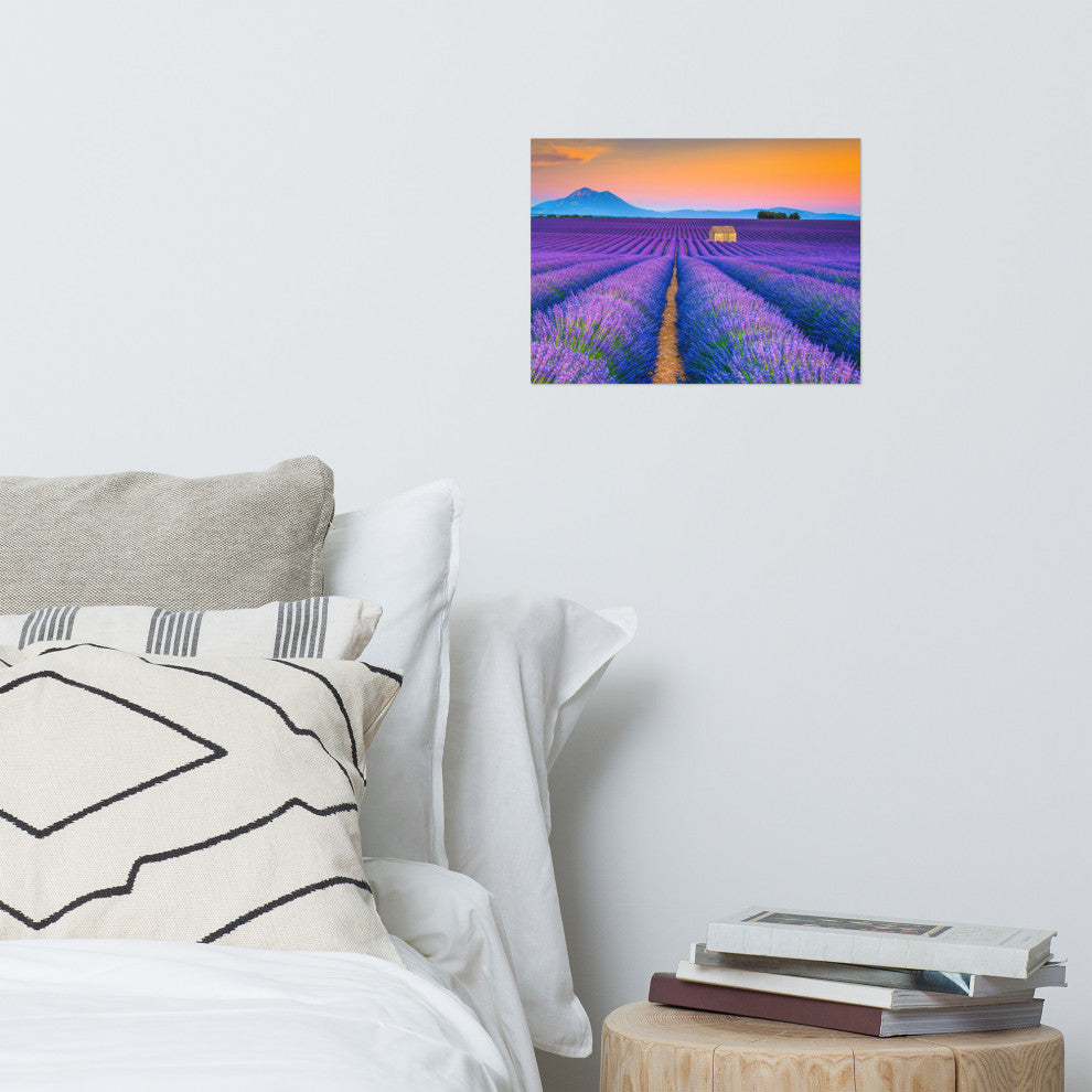 Blooming Lavender Field and Sunset Landscape Photo Unframed Wall Art Prints, 12" X 16"