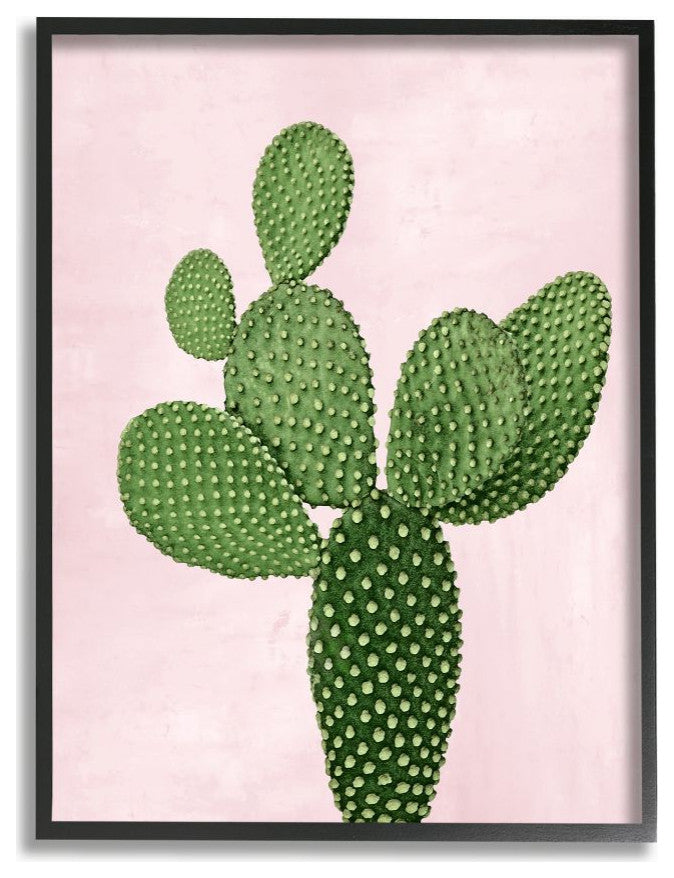 Prickly Cactus Dessert Plant Nature Succulent Pink Green ,1pc, each 24 x 30