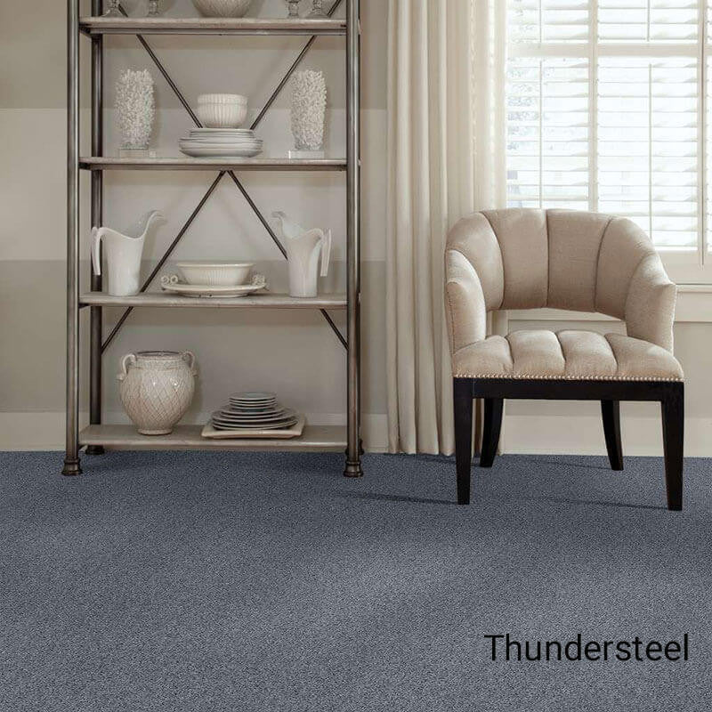 Quiet Sanctuary Shag Area Rug Collection, Thundered Steel, 4x10