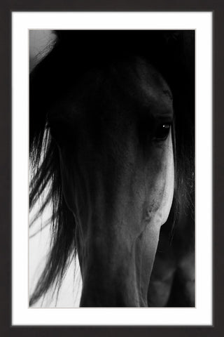 "Shadow Horse" Framed Art Print, 61x91 cm