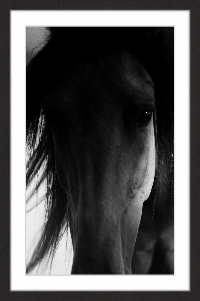 "Shadow Horse" Framed Art Print, 61x91 cm