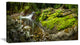 Creek Moss and Rocks Panorama, Landscape Canvas Art Print, 32"x16"