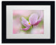 Cora Niele 'Pink Anemone' Matted Framed Art