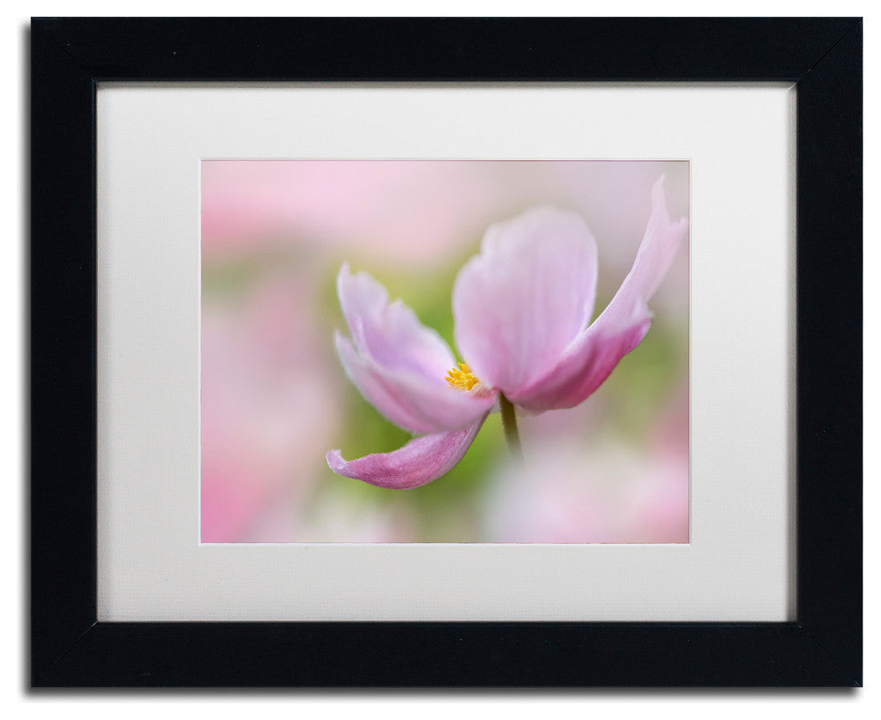 Cora Niele 'Pink Anemone' Matted Framed Art