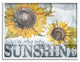 You Are My Sunshine Quote Distressed Sunflower Design, 30 x 24
