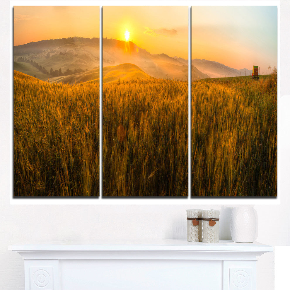 "Tuscany Wheat Field at Sunrise" Metal Wall Art, 3 Panels, 36"x28"