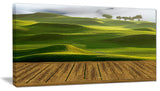 Golf Course with Wooden Path, Landscape Canvas Art Print, 32"x16"