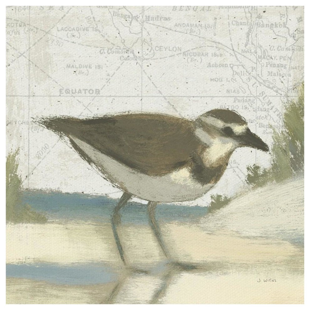 "Beach Bird III" Digital Paper Print by James Wiens, 38"x38"