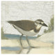 "Beach Bird III" Digital Paper Print by James Wiens, 38"x38"