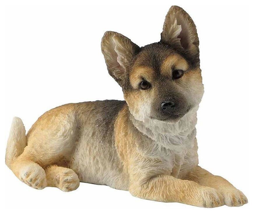 German Shepard Pup Lying With Head Tilted To the Right