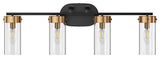 Modern 4-Light Bathroom Vanity Lighting Fixture with Glass Shades