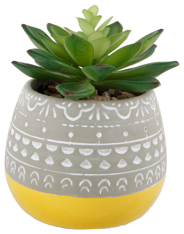 Succulent In 2 Tone Mayan Ceramic Pot,Yellow