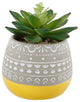 Succulent In 2 Tone Mayan Ceramic Pot,Yellow