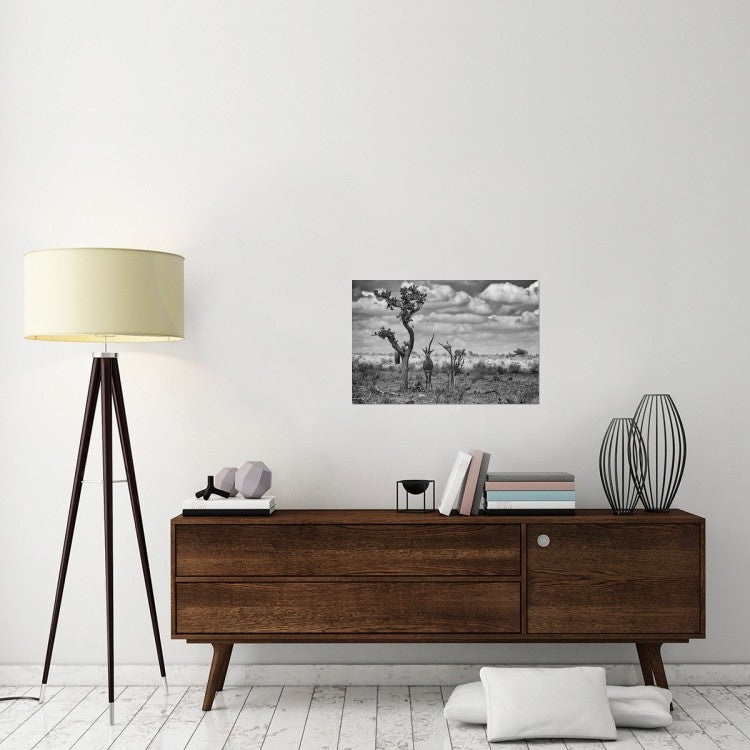 "The Last Unicorn" Stretched Canvas Giclee by Marcel Rebro, 30"x20"