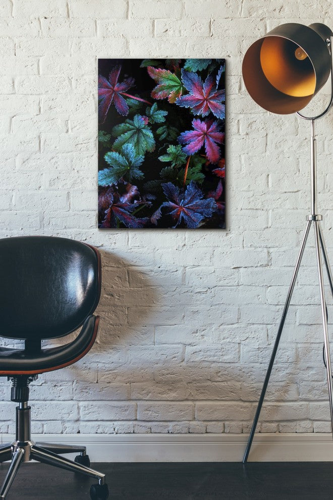 Epic Graffiti "Frosty Fall" by Darren White, Giclee Canvas Wall Art, 18"x26"