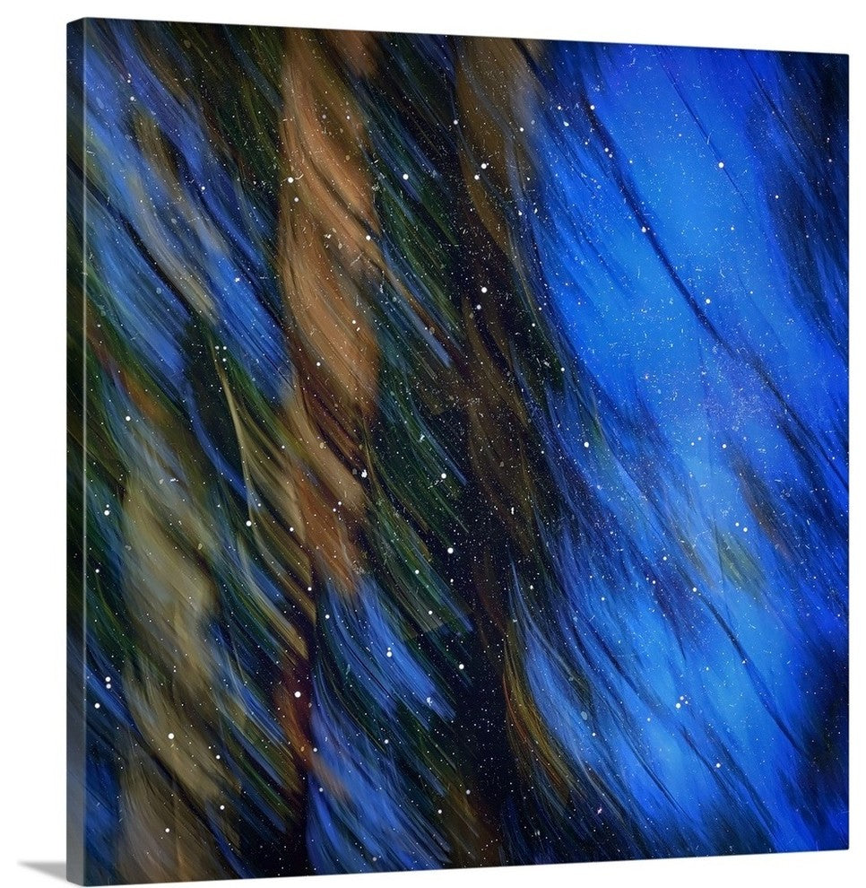 "Stardust on Pines" Wrapped Canvas Art Print, 16"x16"x1.5"