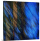 "Stardust on Pines" Wrapped Canvas Art Print, 16"x16"x1.5"