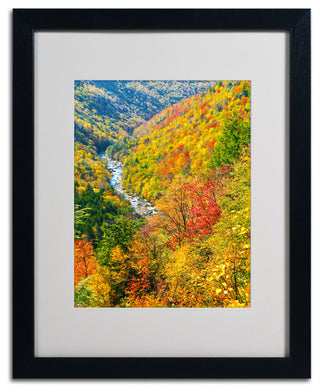 'Valley' Matted Framed Canvas Art by CATeyes