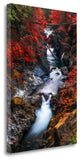 "Water In The Fall" By Vladimir Kostka, Giclee Print on Gallery Wrap Canvas