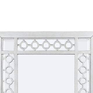 ACME Varian Mirror