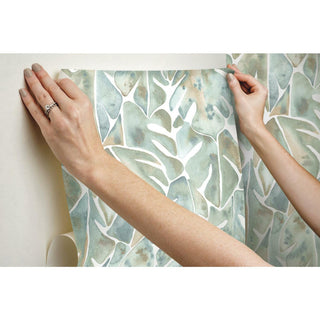 Cat Coquillette Philodendron Peel & Stick Wallpaper