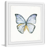 "Blue Lace Wings" Framed Painting Print, 32"x32"