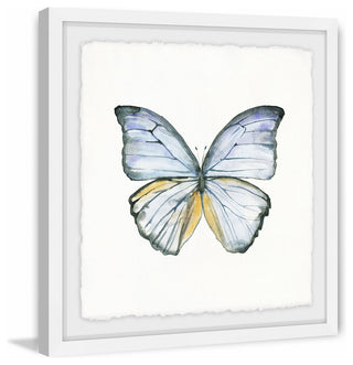 "Blue Lace Wings" Framed Painting Print, 32"x32"