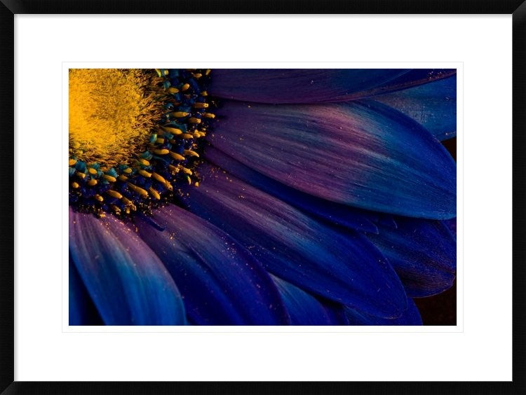 "Blue Rays" Framed Digital Print by Thorsteinn H. Ingibergsson, 30x22"
