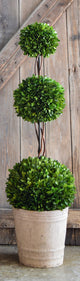 Boxwood Topiary 40" Triple Ball
