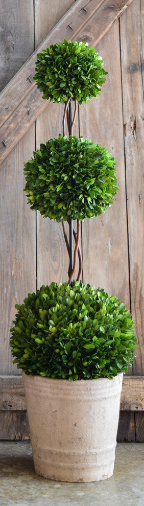 Boxwood Topiary 40" Triple Ball