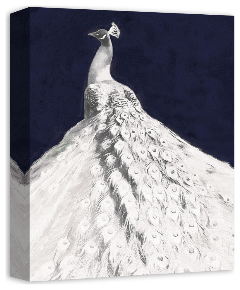 Glorious White Peacock 11x14 Canvas Wall Art