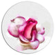 Pink Hand-Drawn Red Rose On White, Flower Round Metal Wall Art, 36"