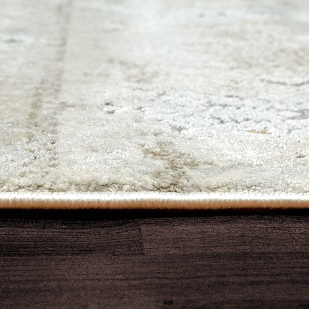 Dynamic Rugs Capella Shrink Poly Area Rug, Gray/Gold/Multi, 9'x12'