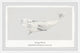 "Beluga Whale" Framed Painting Print, 12x8