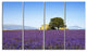 "Lavender Flowers Blooming Field" Landscape Wall Art Print, 4 Panels, 48"x28"