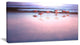 "Flamingo Birds on Bolivia Beach" Modern Beach Canvas Art Print, 40"x20"