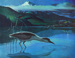 "Night Heron" Painting Print on Wrapped Canvas