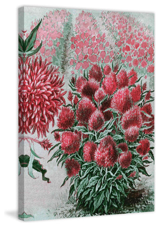 "Wool Flowers 2" Painting Print on Canvas