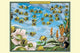 A Swarm of Spelling Bees- Fine Art Giclee Print 24" x 36"